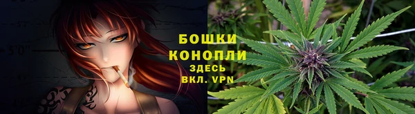 ГАЛЛЮЦИНОГЕННЫЕ ГРИБЫ Абдулино