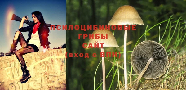 PSILOCYBIN Абинск