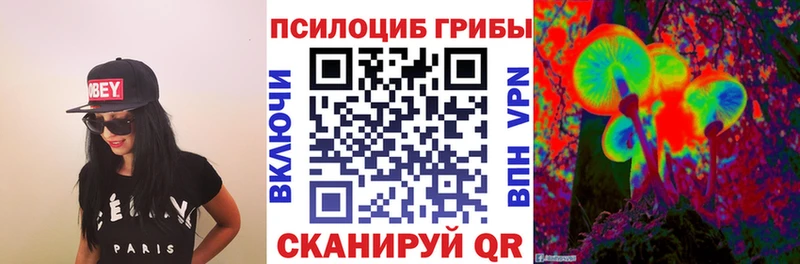 кракен рабочий сайт  Александровск-Сахалинский  Галлюциногенные грибы Psilocybine cubensis  как найти закладки 